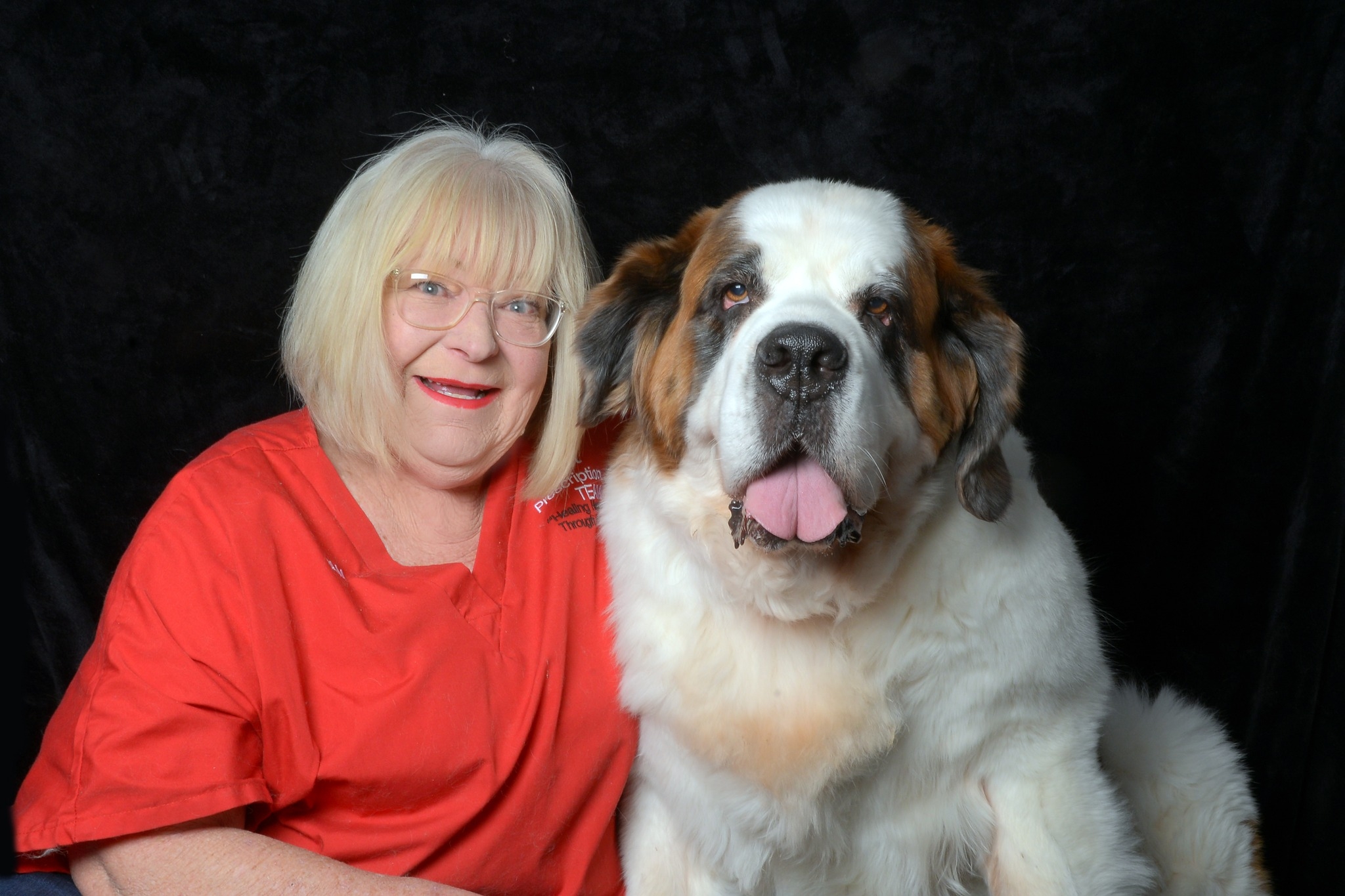 Sunny Saints Southern California St Bernard Rescue
