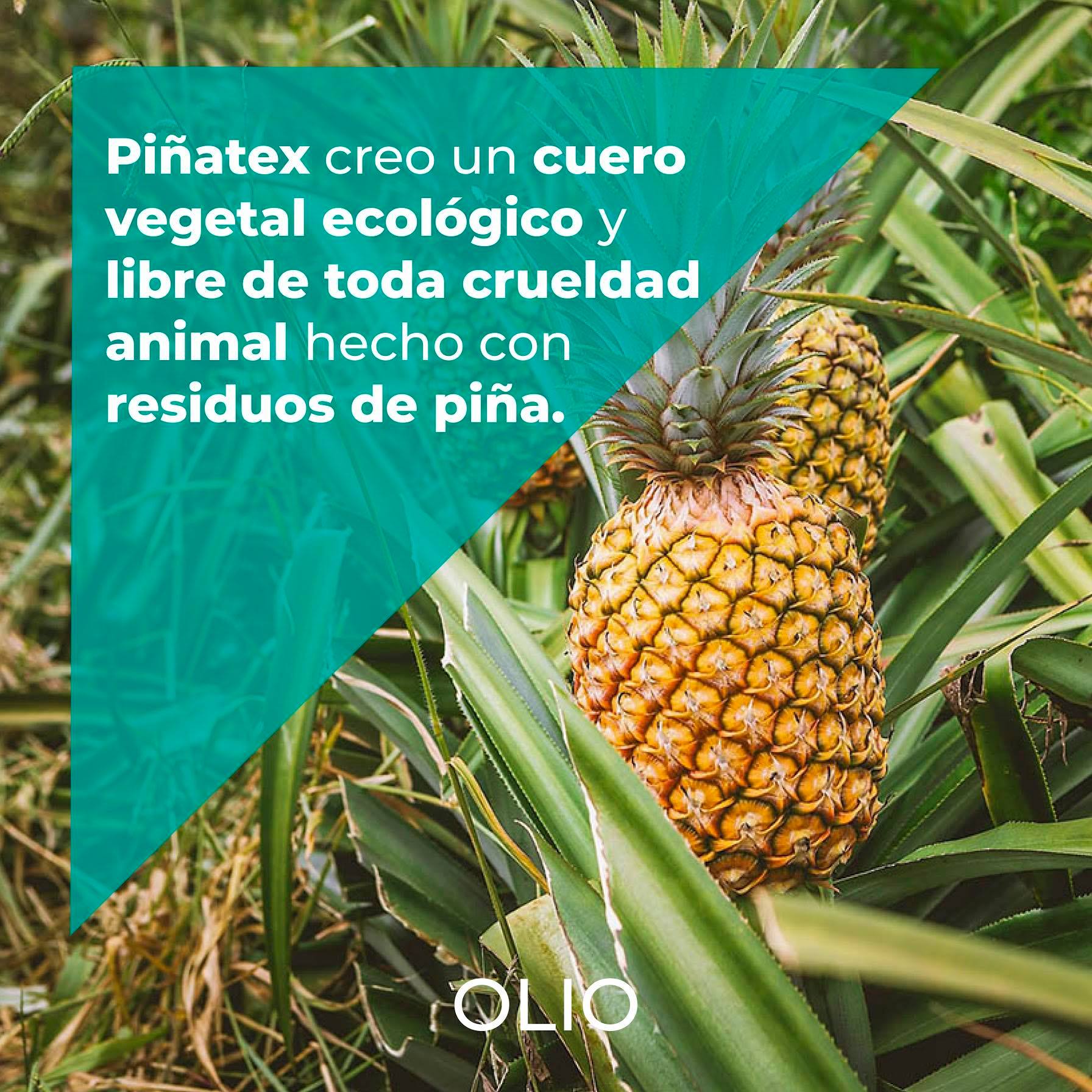 Olio Español - Los residuos de hoja de piña suelen ser...