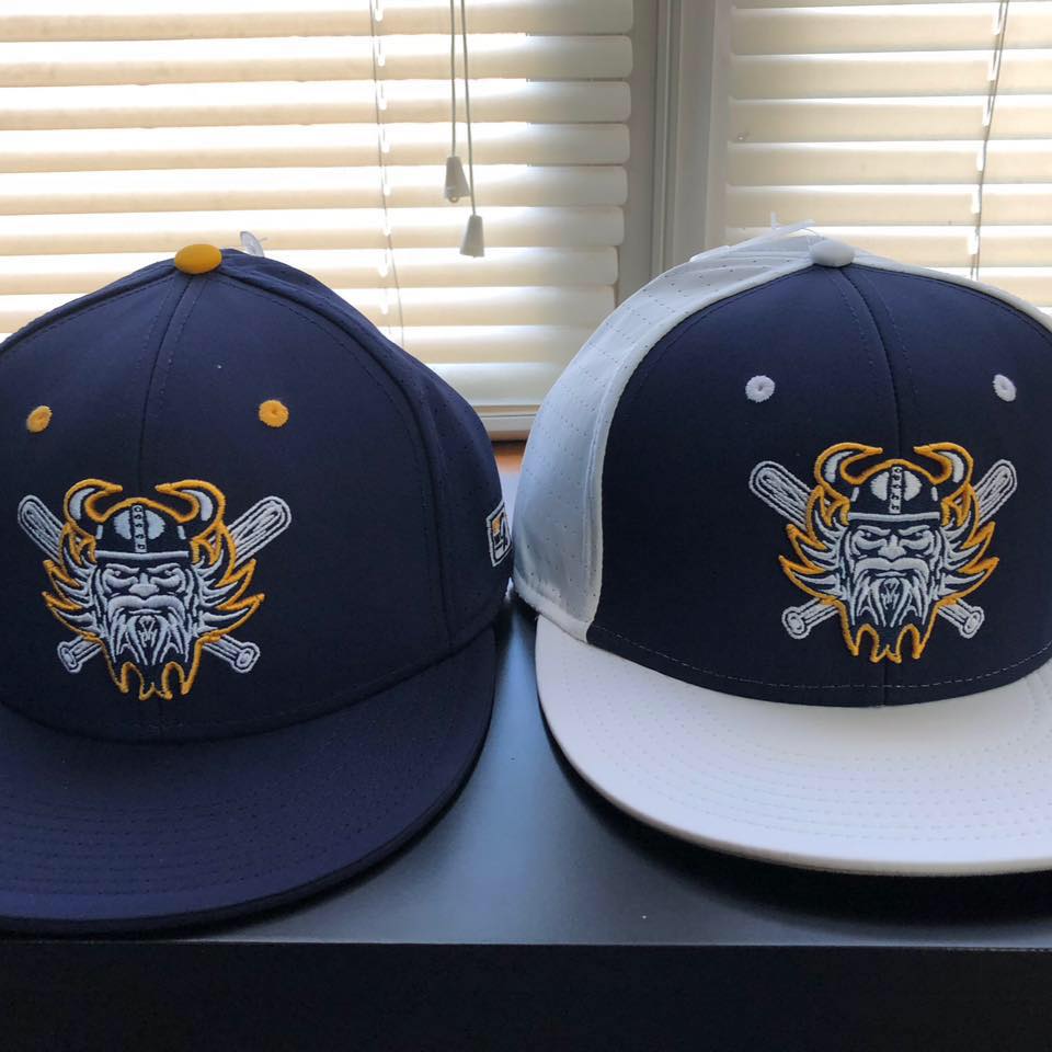 Recap of the Grand Rapids... - Haslett High School Baseball | Facebook