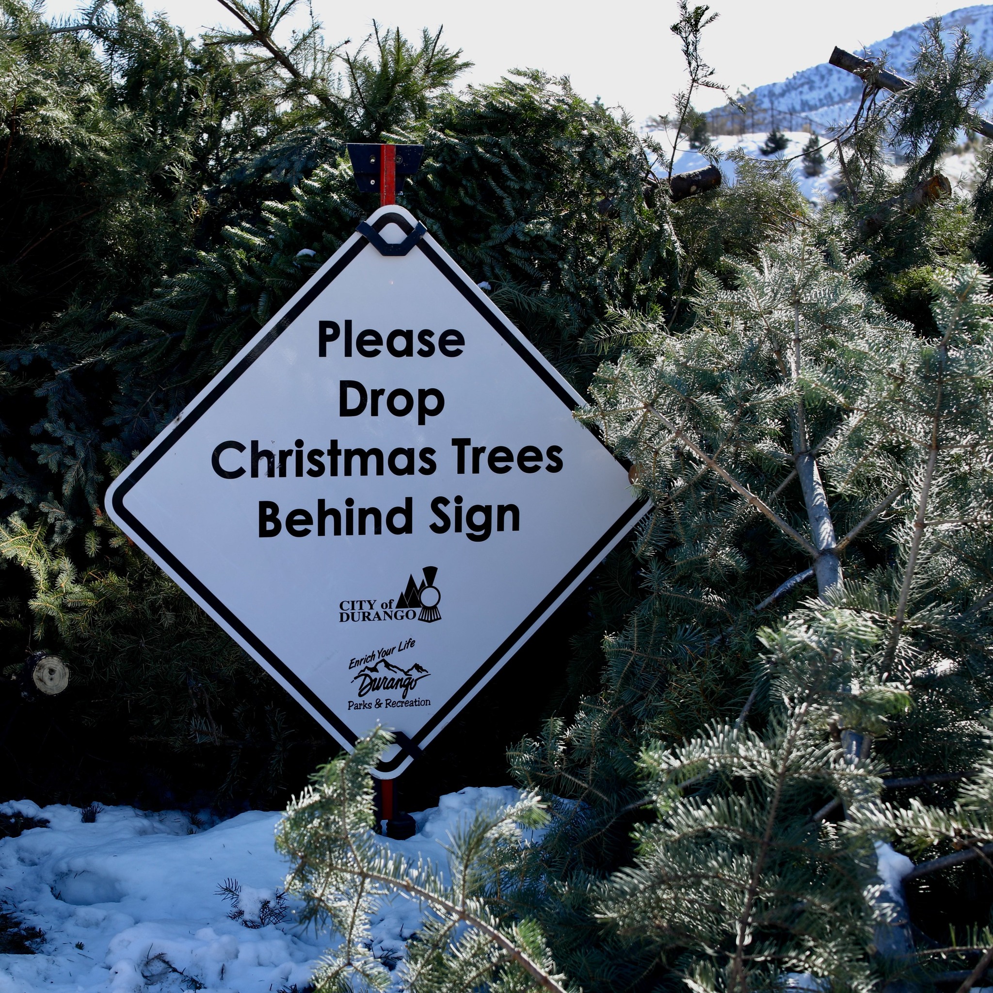 Christmas tree dropped off... - City of Durango - Government
