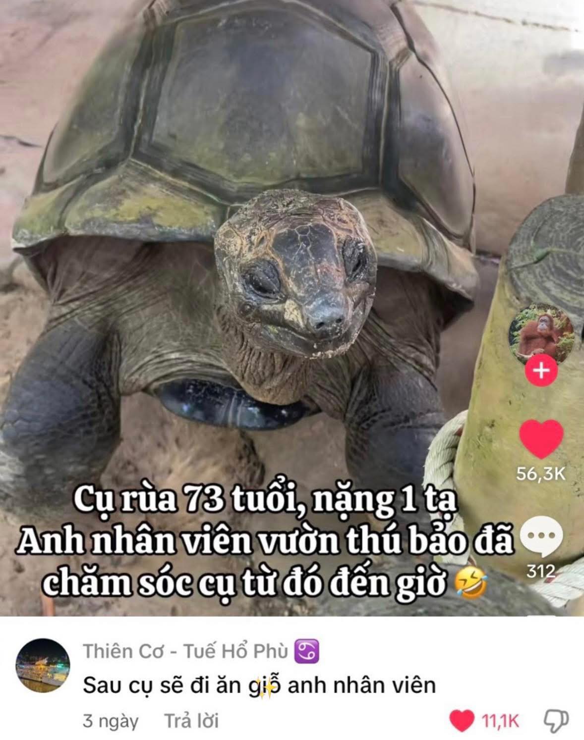 Người - Chưa biết ai ngủm trước ai đâu bé =))) | Facebook