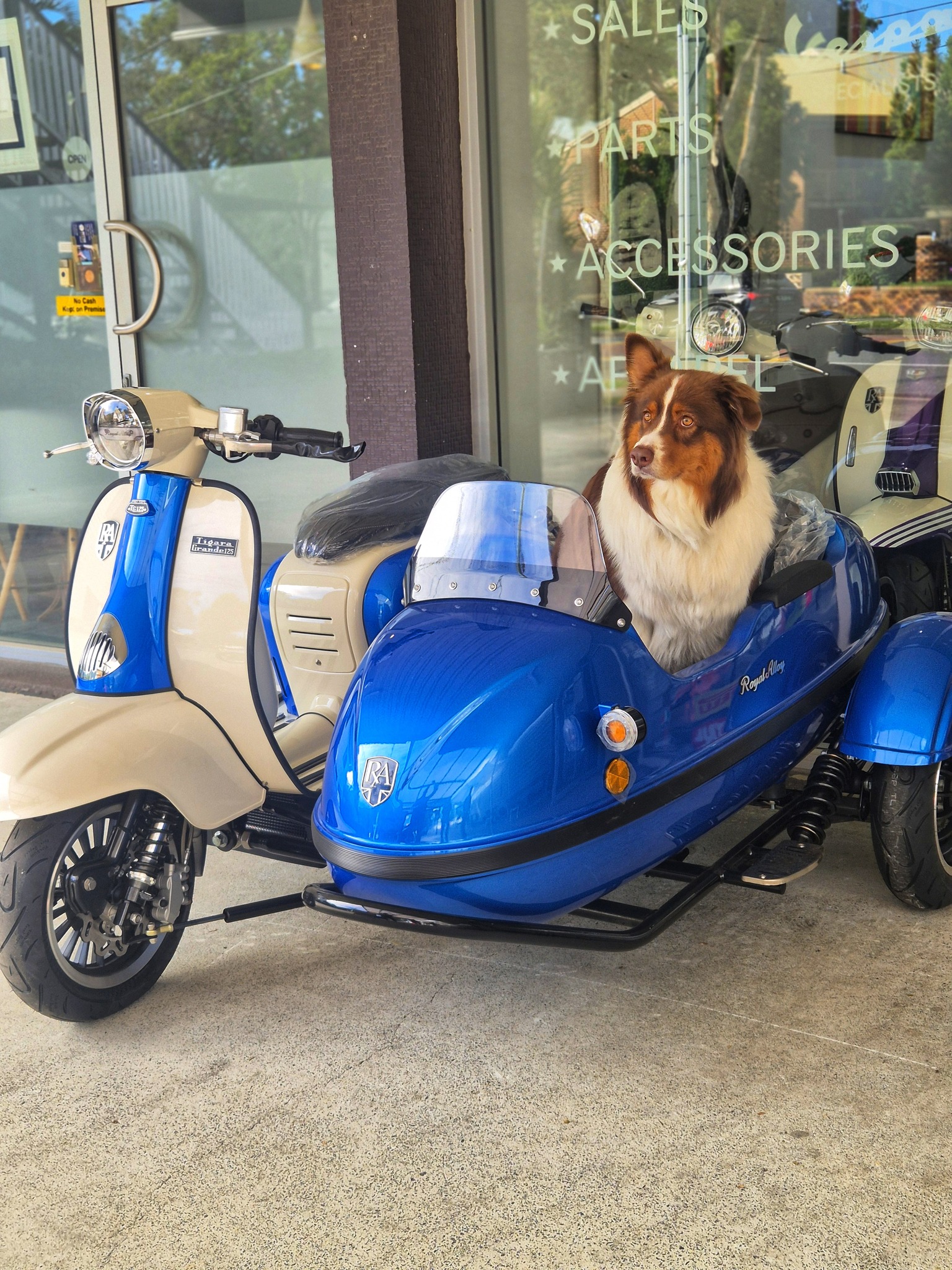 Riding Rd Scooters
