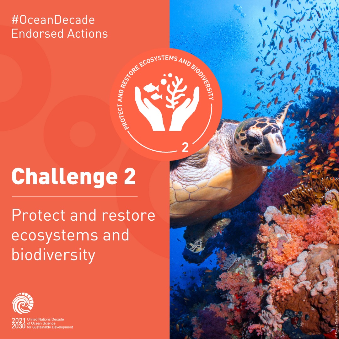 UN Ocean Decade - Protecting and restoring ecosystems and...
