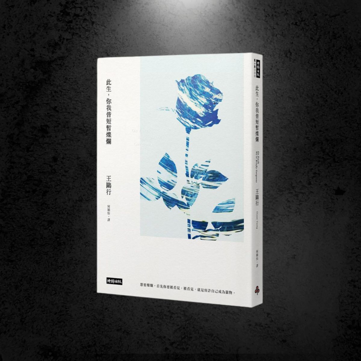 誠品香港 - 《此生, 你我皆短暫燦爛》🎇 作者｜王鷗行 「想要燦爛，首先你要被看見，被看見，就是容許自己成為獵物。」一封兒子寫給不識字的母親 ...