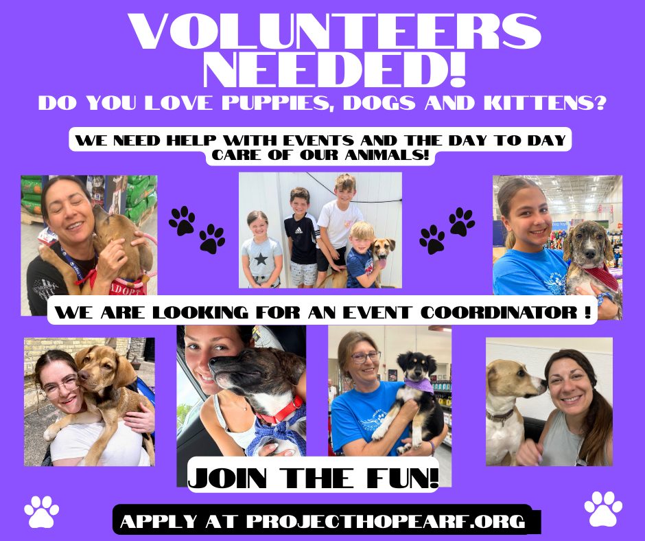 📣We NEED... - Project Hope Animal Rescue Foundation | Facebook