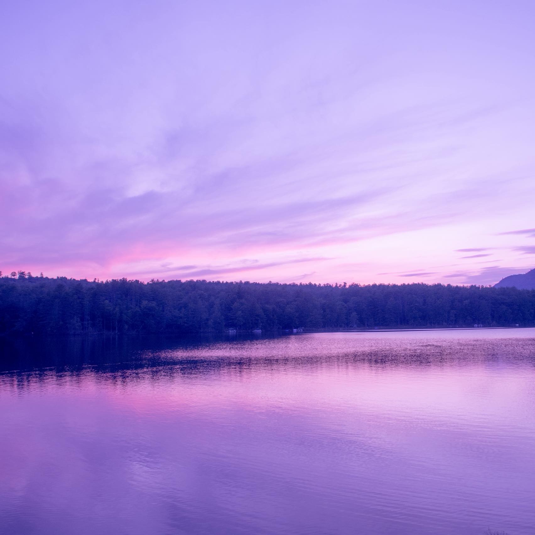 Nolet's Way Nature Inspired Photography