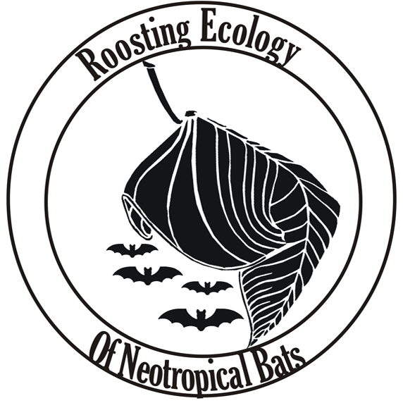 Roosting Ecology of Neotropical Bats