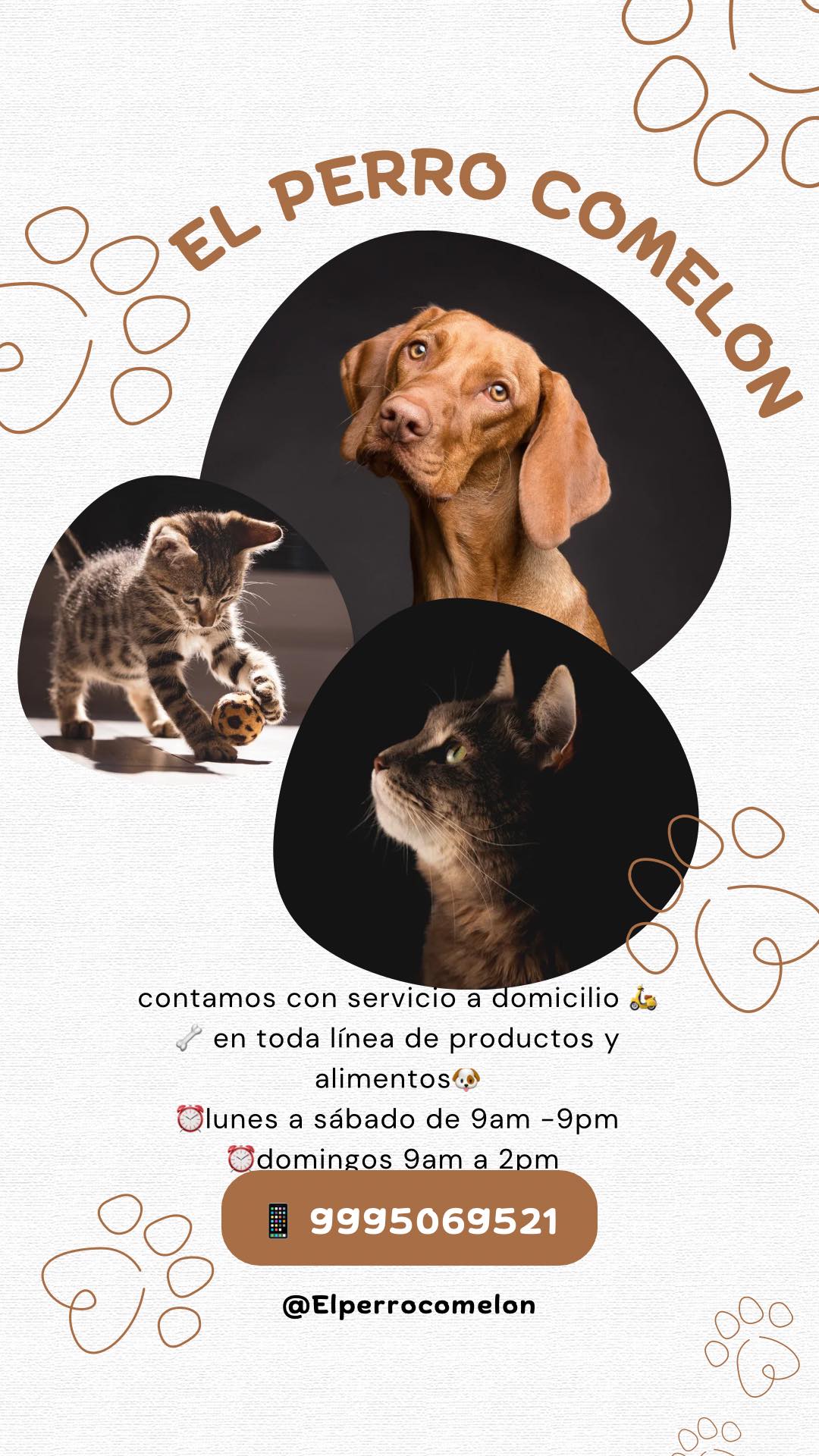 El perro comelon | Mérida