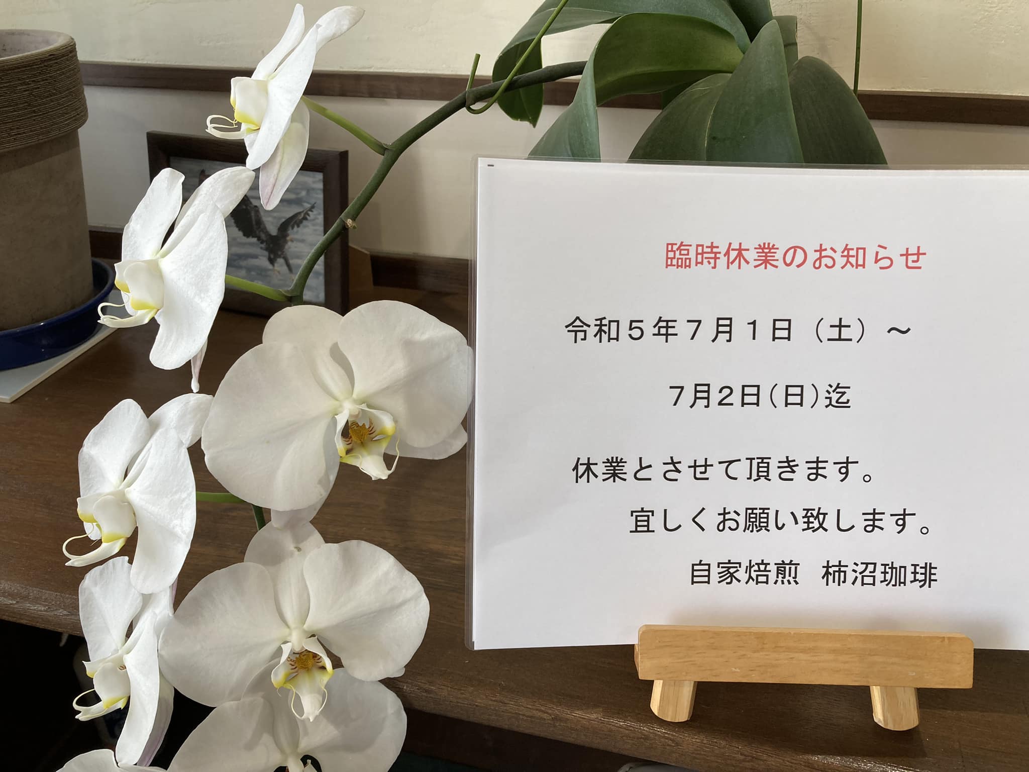 自家 焙 煎 柿沼 珈琲
