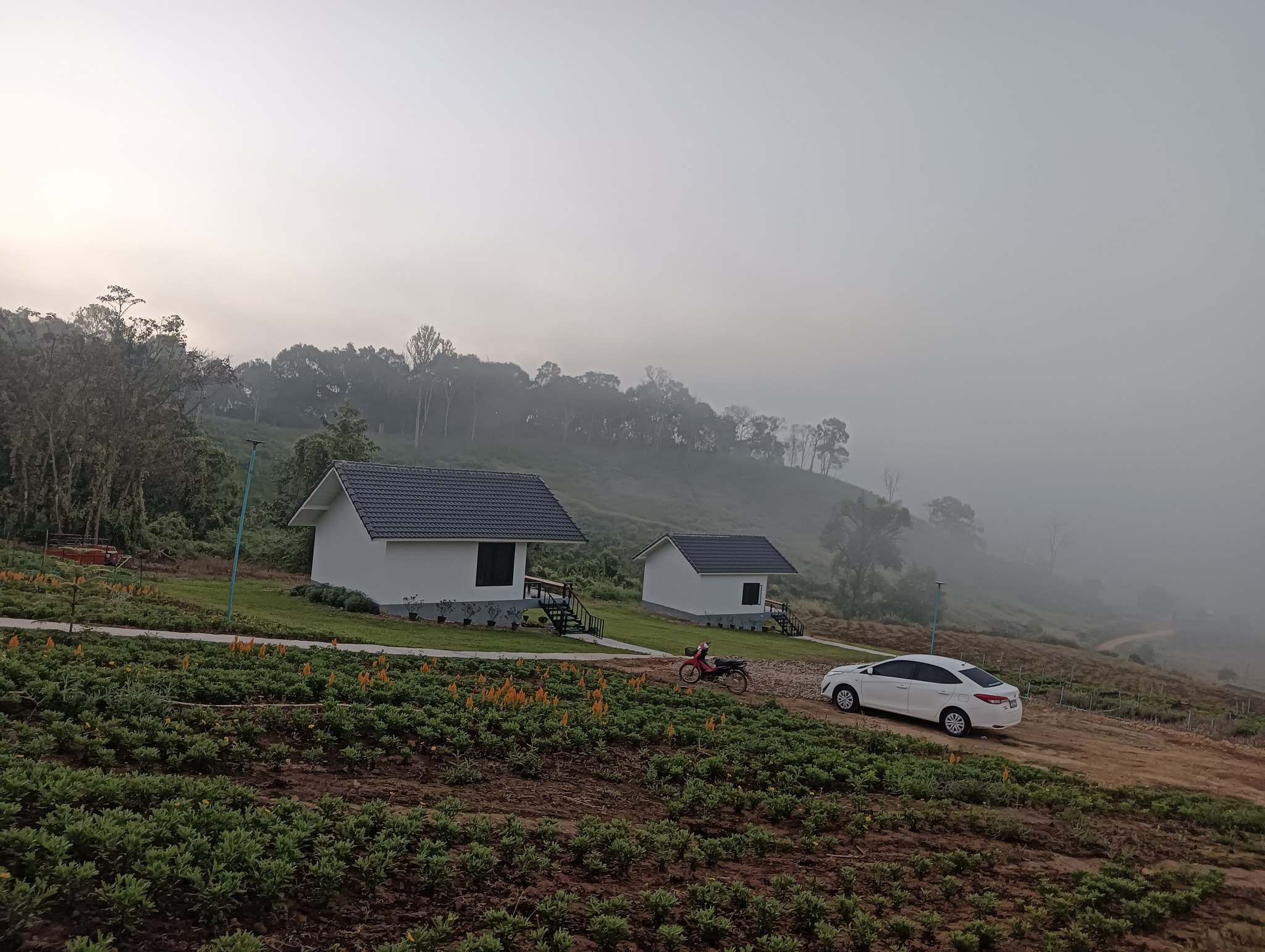 สวนไร่รุ่งอรุณ Suan Rai Rungarun | Mae Hong Son