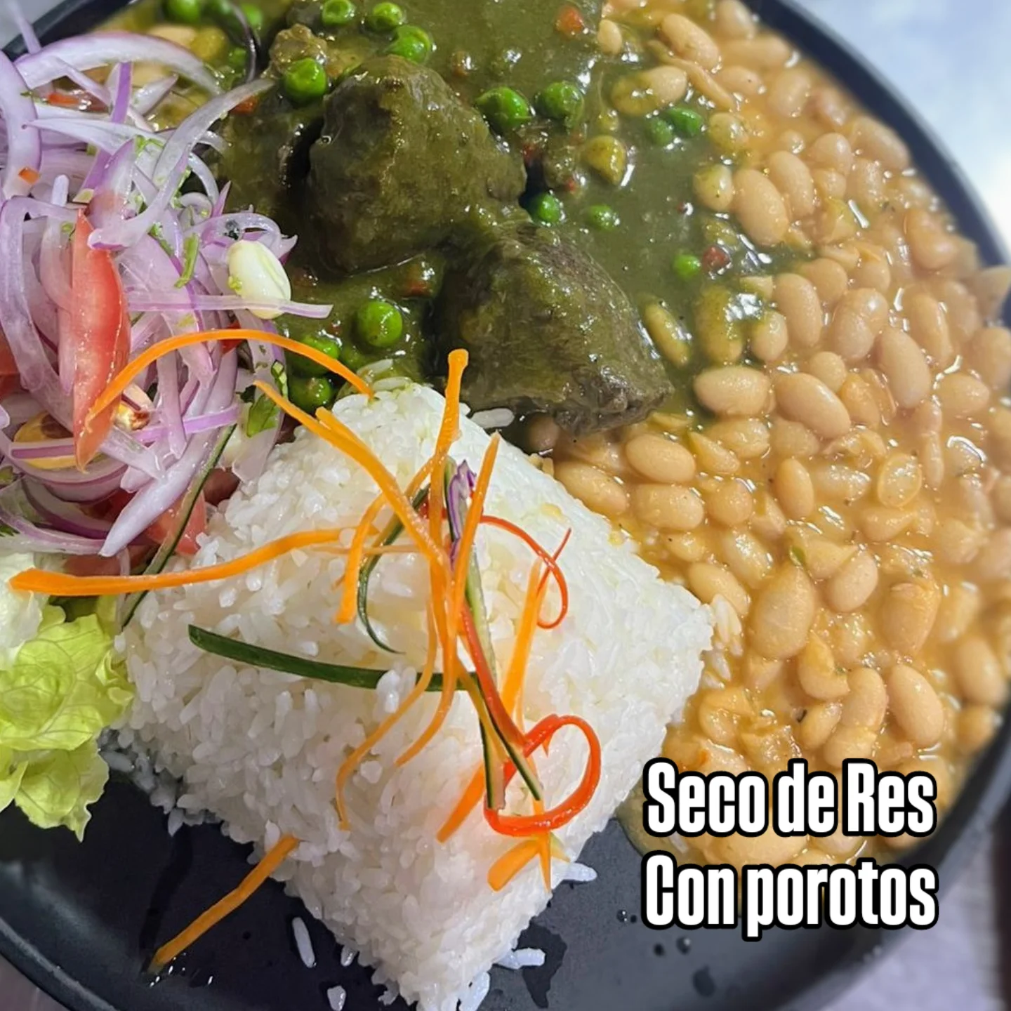 Mi Rico Perú.Cl | Quilicura