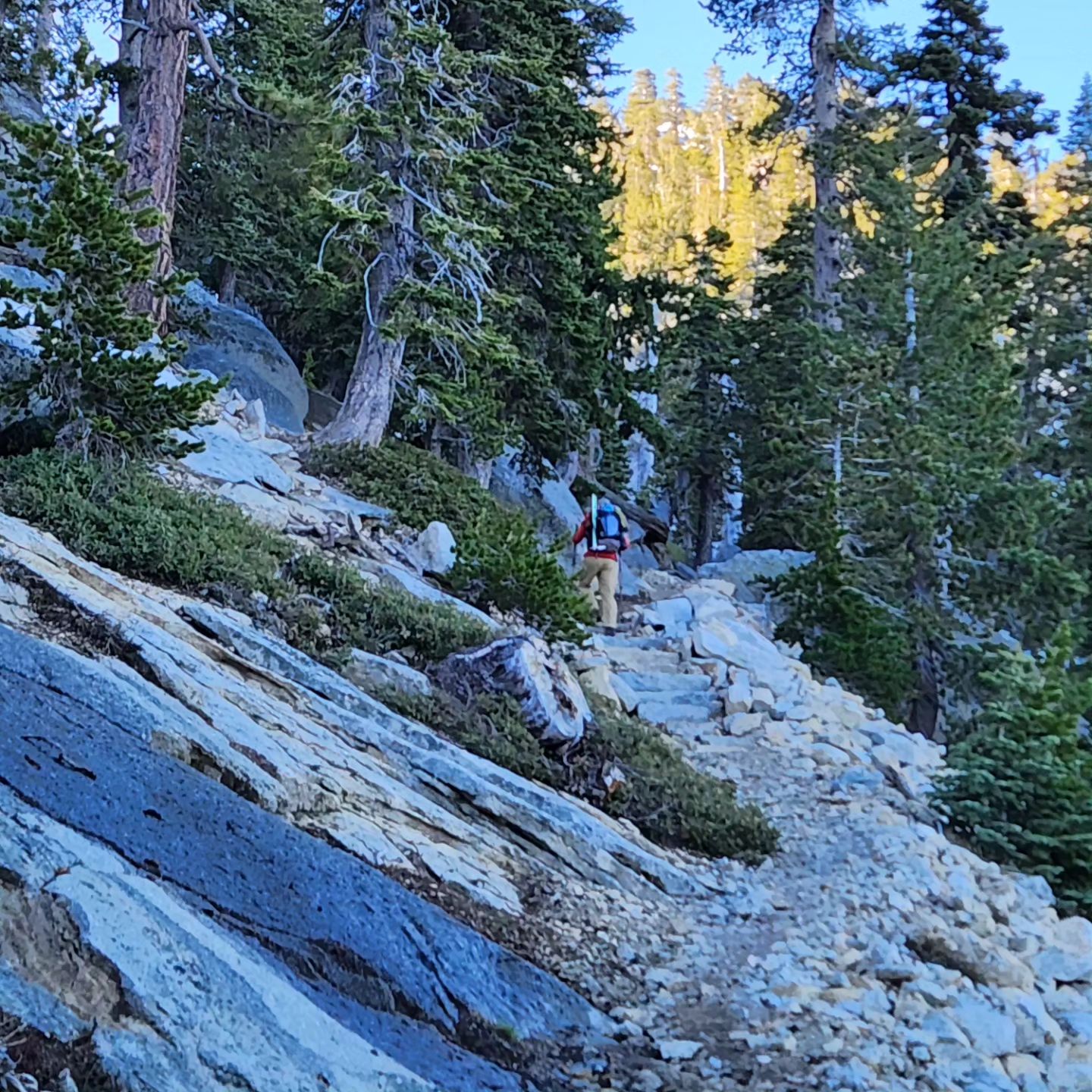 Day 27-Mile 997.8 The Trek: Pacific Crest Trail California Baby