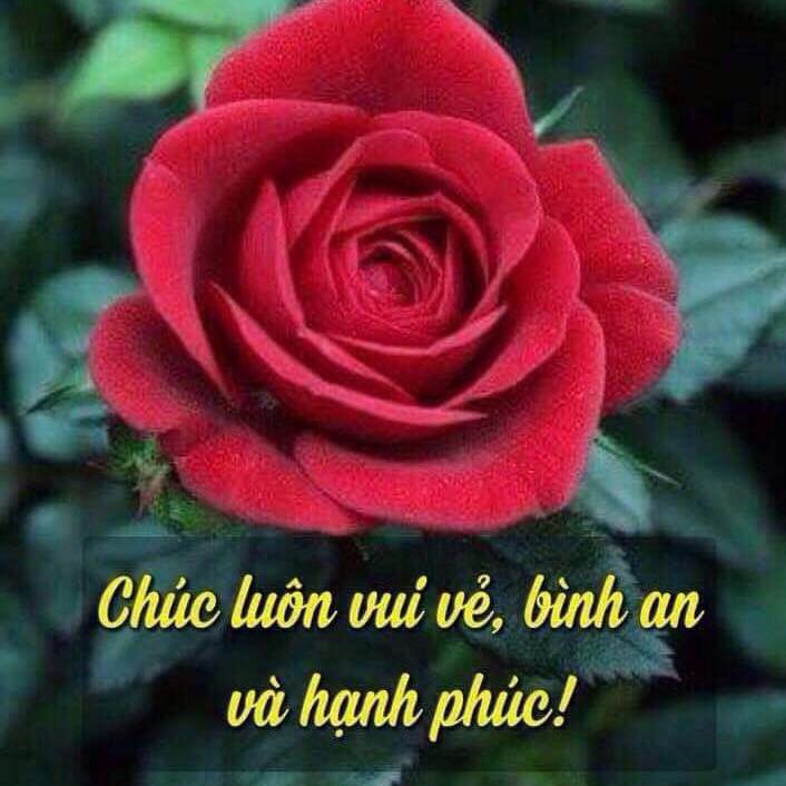Chung Chí Cường