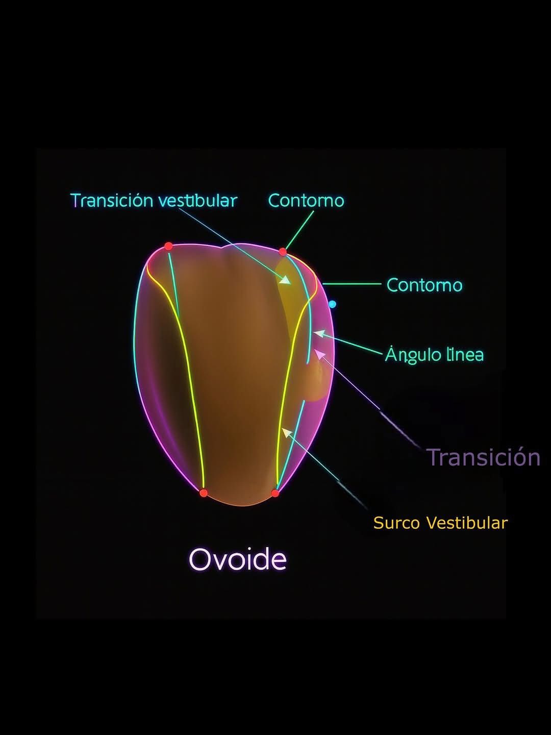 Smile center - 🦷ICDAS 2 (International Caries Detection... | Facebook
