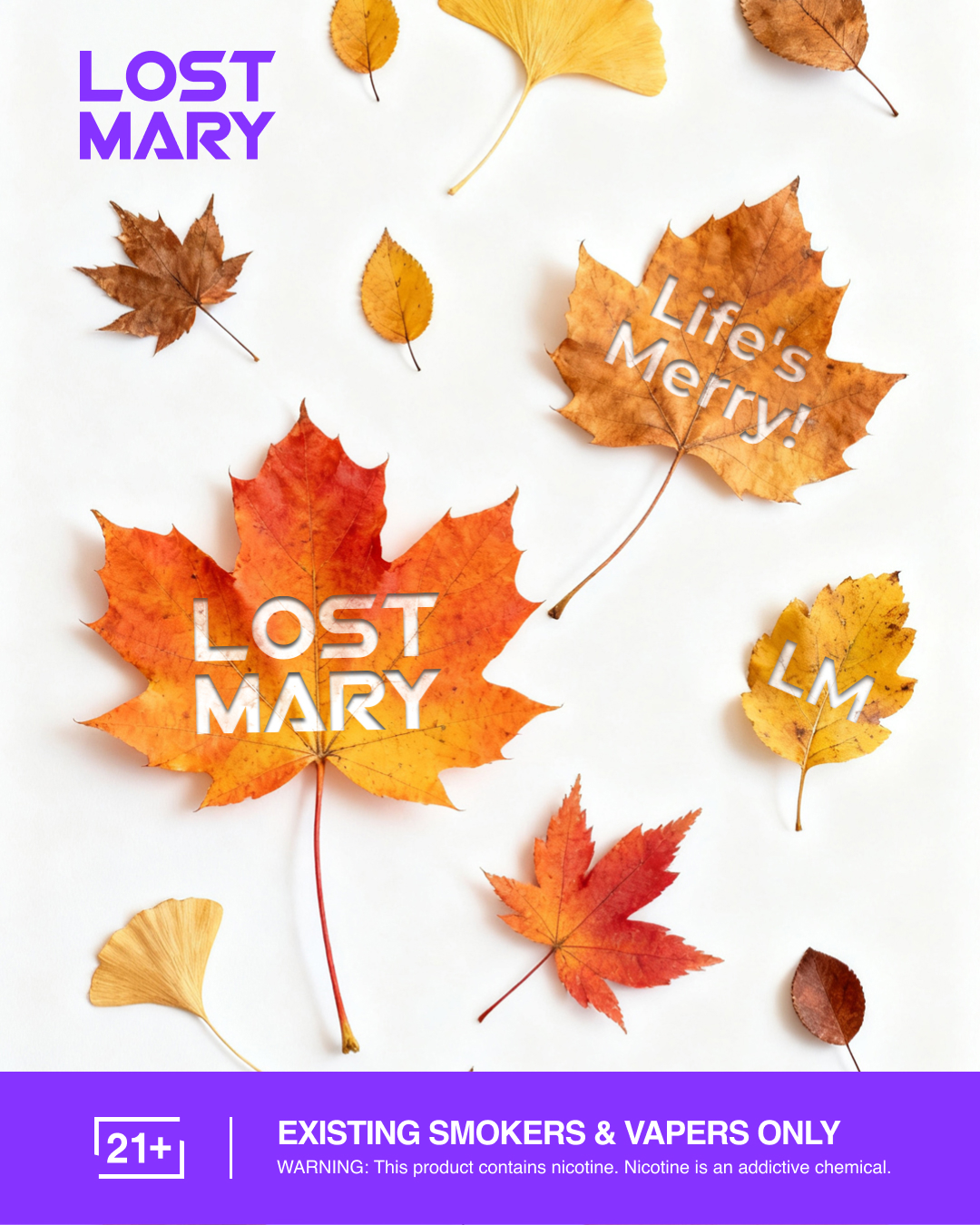 The Lost Merry-go-round | LINE Play Wiki | Fandom