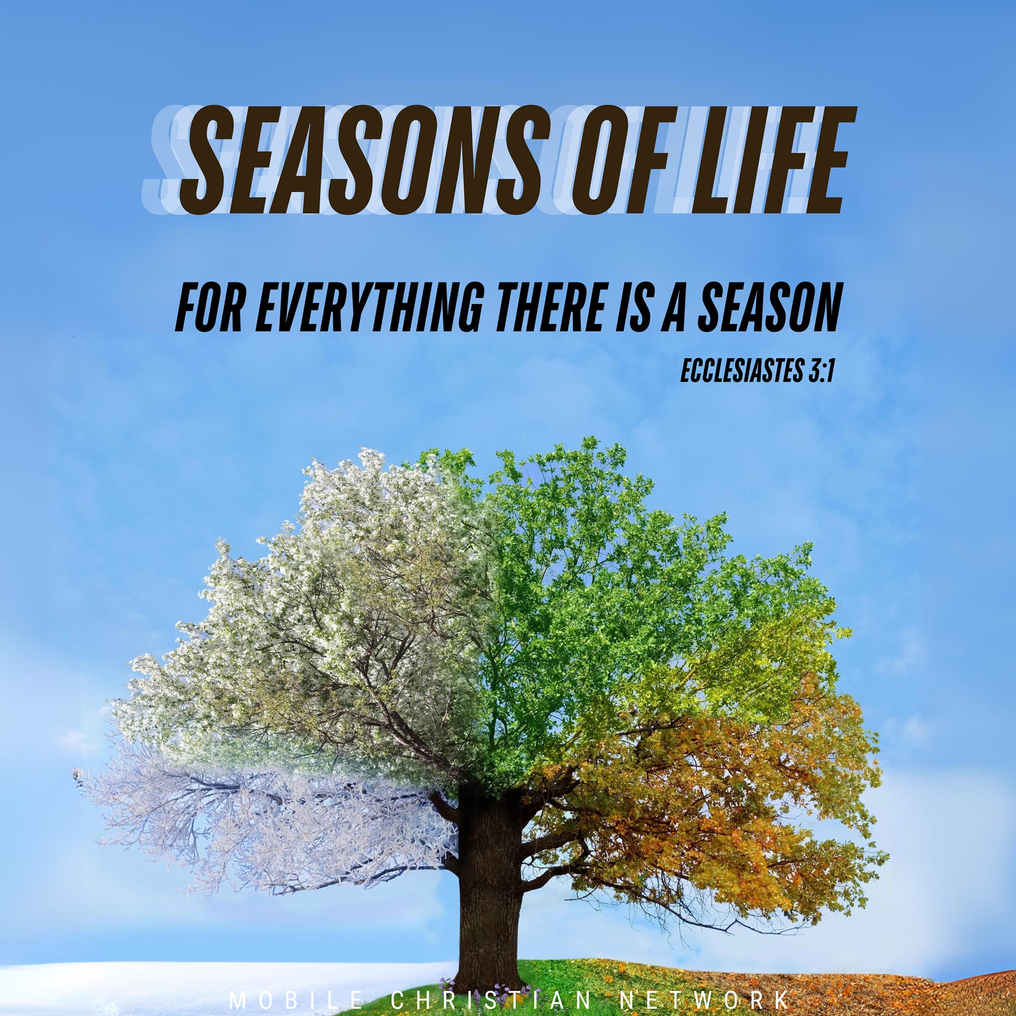 Ecclesiastes Seasons Verse About 35 Inspirational Bible Verses About