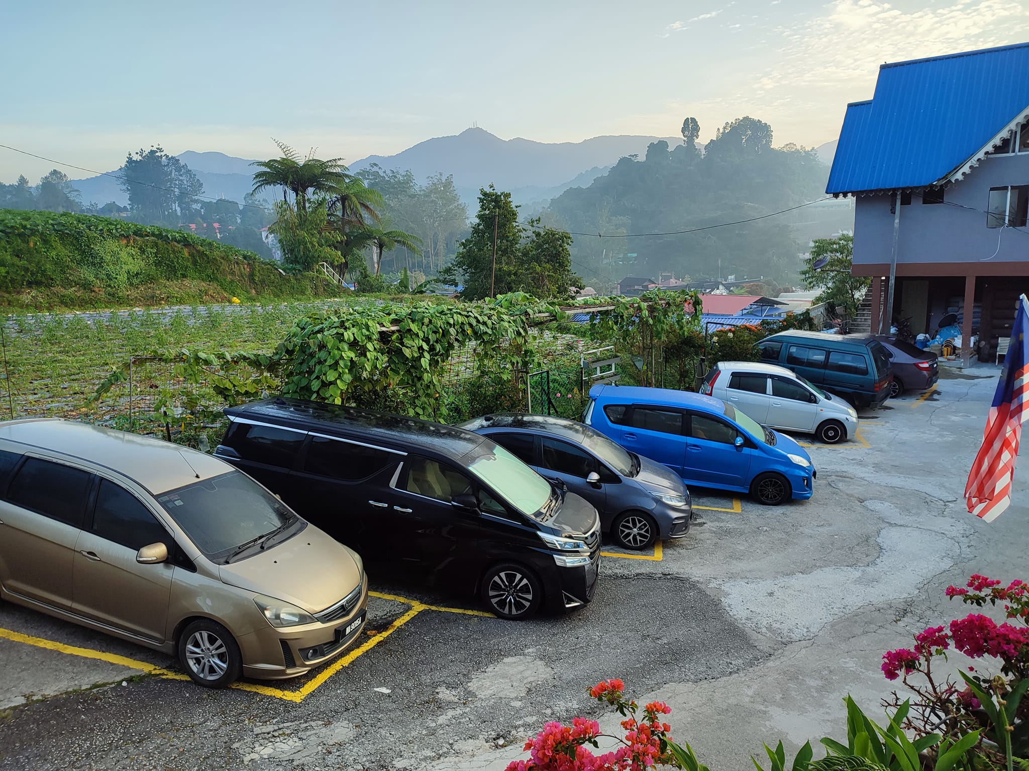 Azalea Fauziz - Muslim Homestay Cameron Highlands