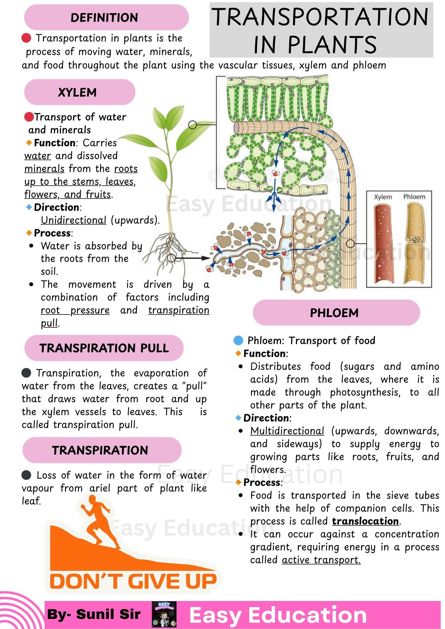 NEET&IIT JEE&FOUNDATION& FACULTYS | Transportation within Plants ...