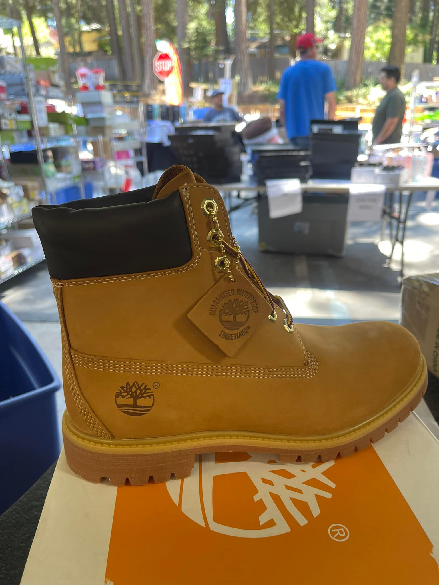 Timberland Men
