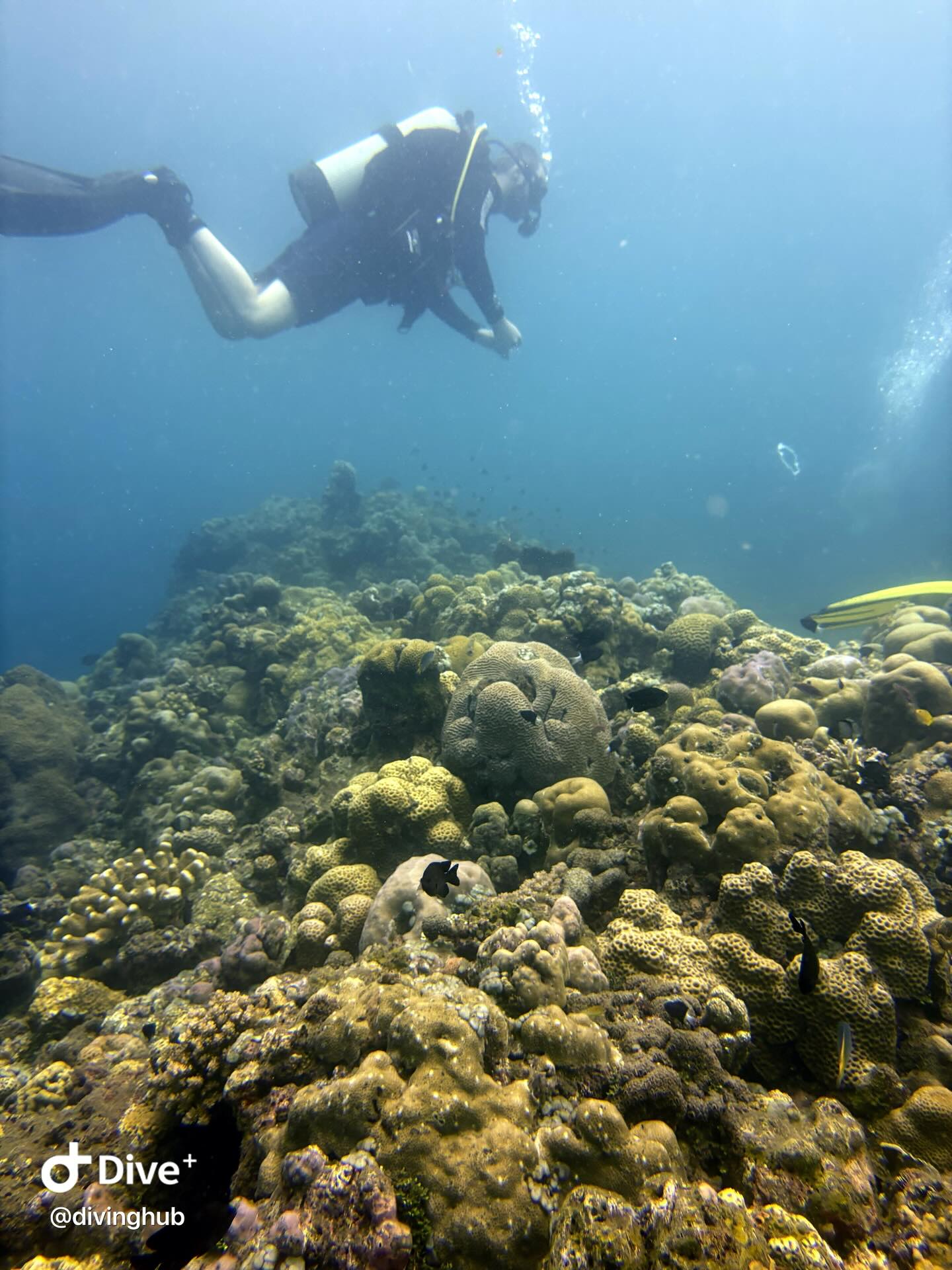 Diving HUB | Ditzingen