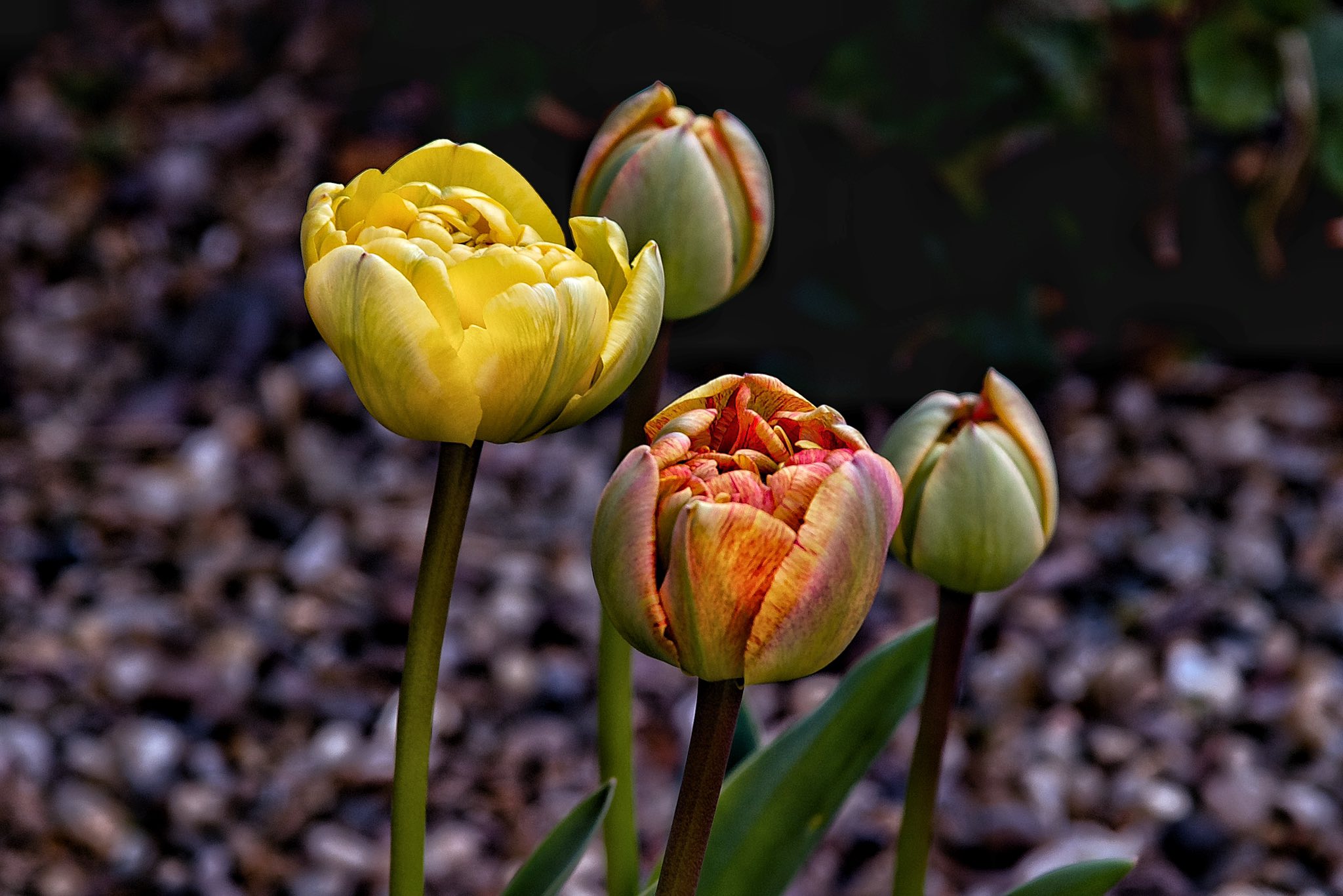 Nikon D300 using my 24-120mm f4 G VRS