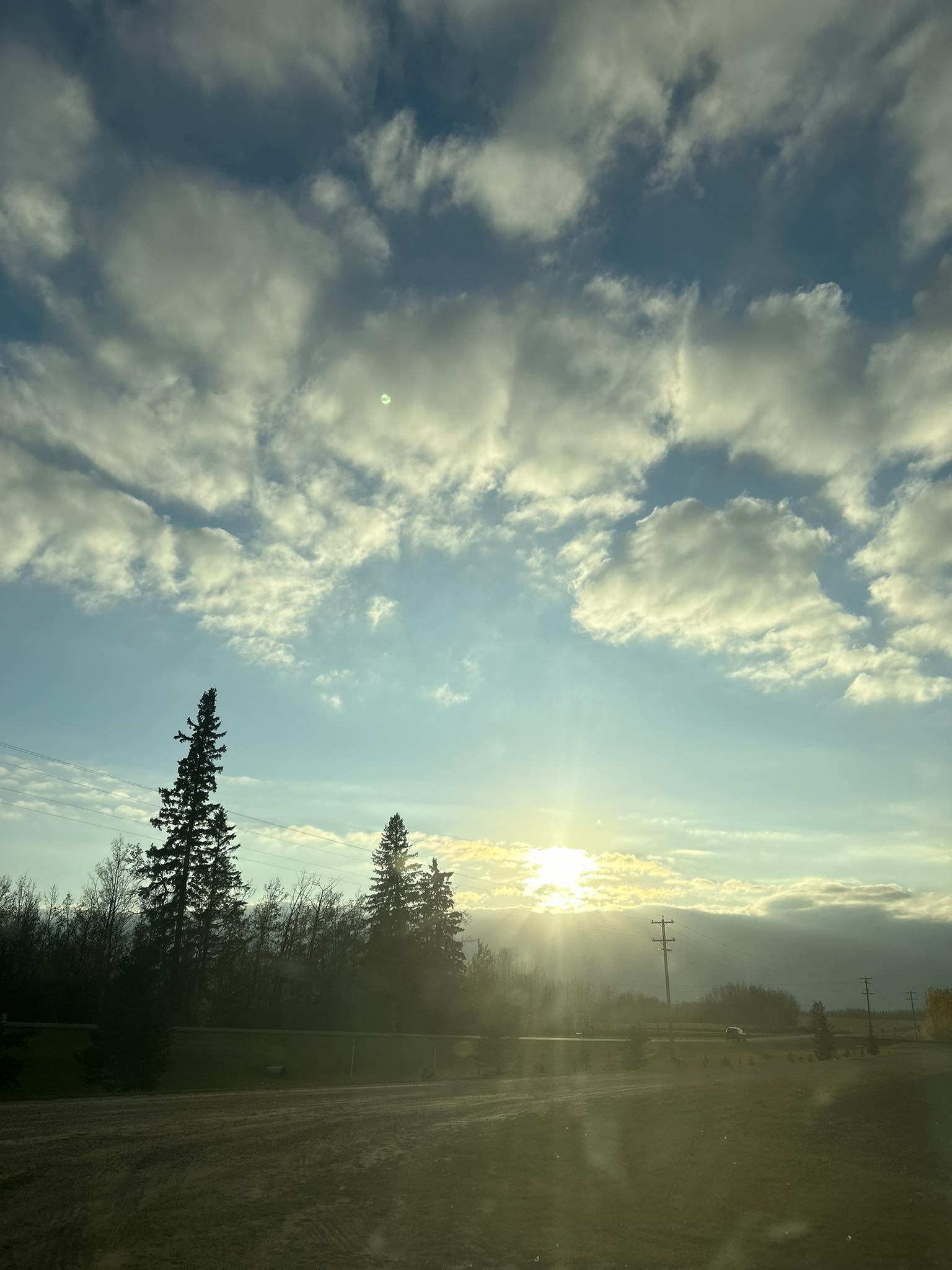 Jackie Codner | Edmonton AB