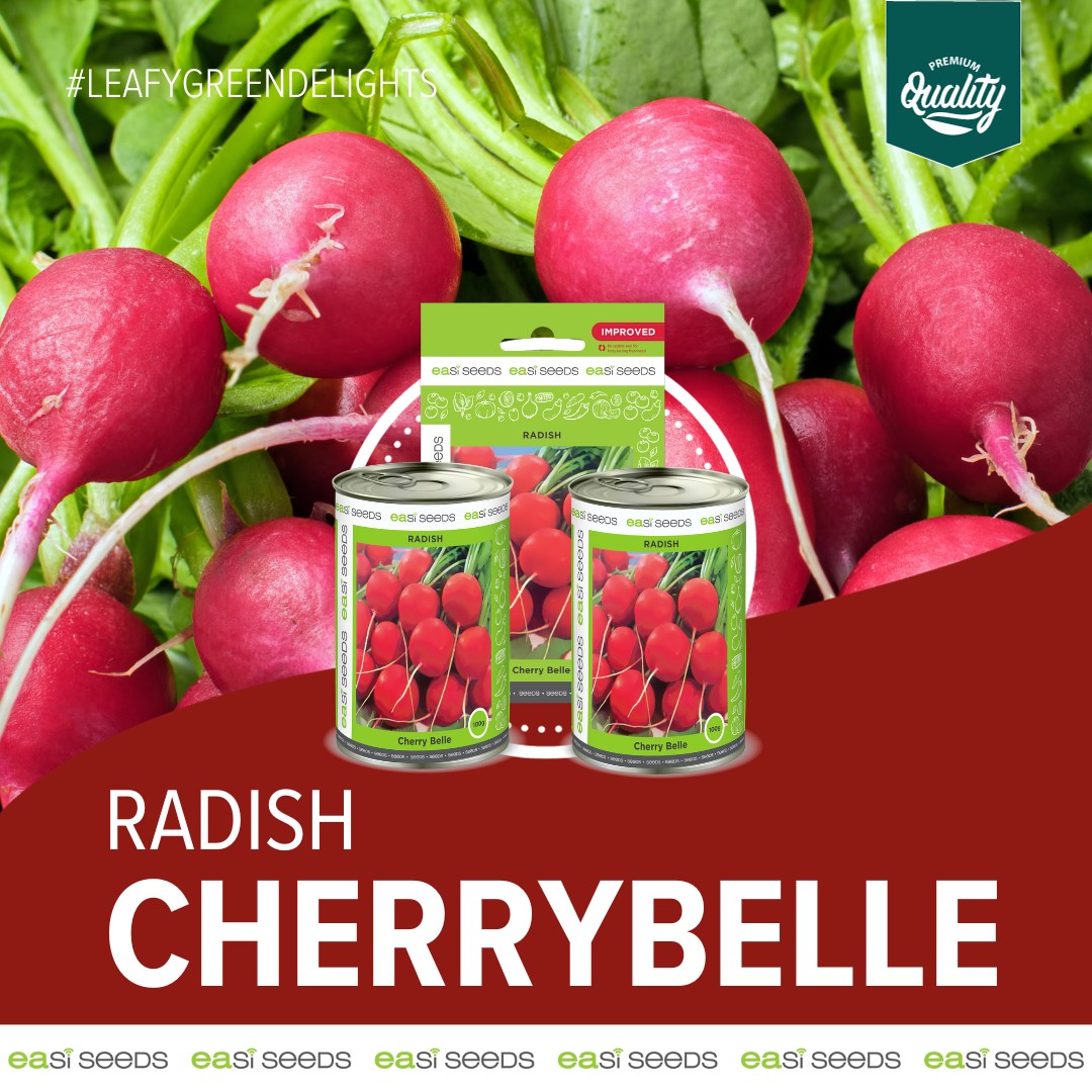 Easi Seeds - 🌟Meet this week's Leafy Green Delight veggie... | Facebook