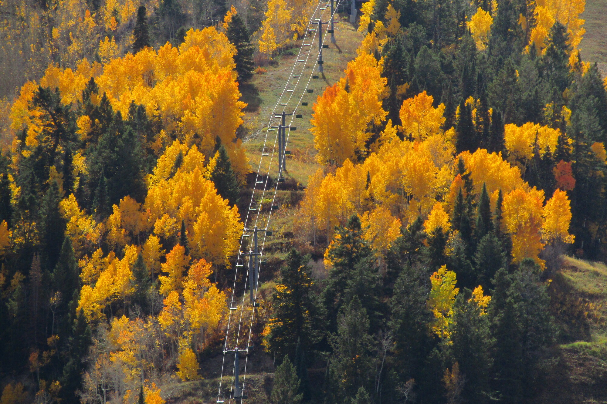 Meteorologist - Fall colors on Aspen Mountain. 🍂🍂🍂 Soon enough, it will ...