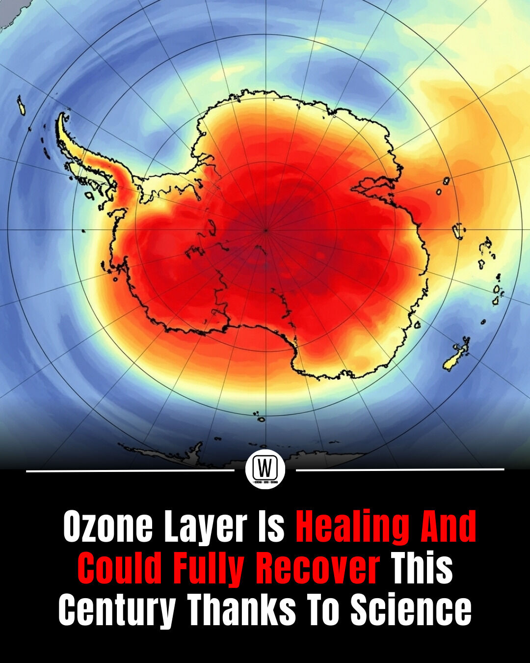 What - Once one of the most urgent environmental crises on Earth, the ...