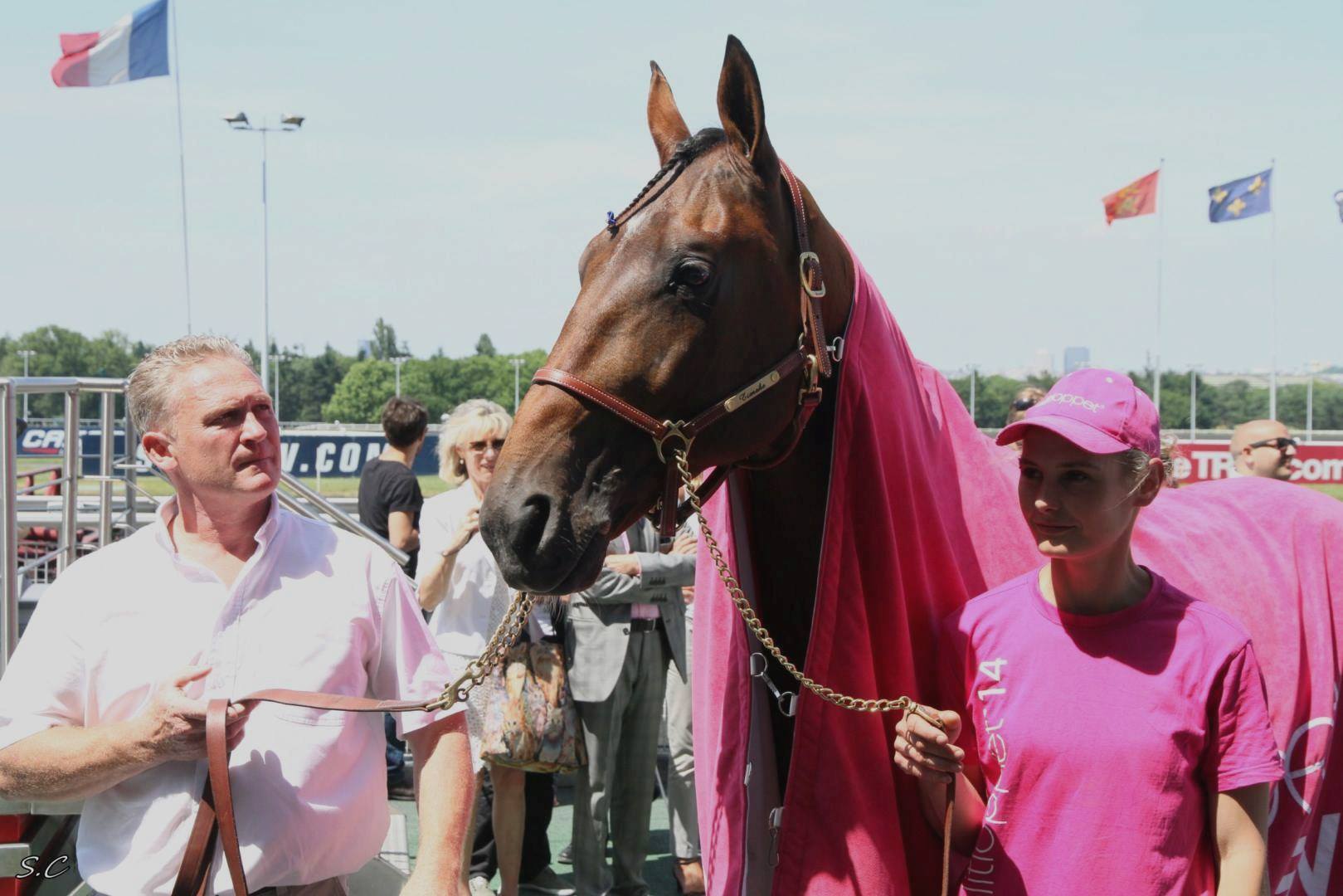 TIMOKO - Avec Jean-Yves Lhérété du Haras de Sassy et Angélique qui s ...