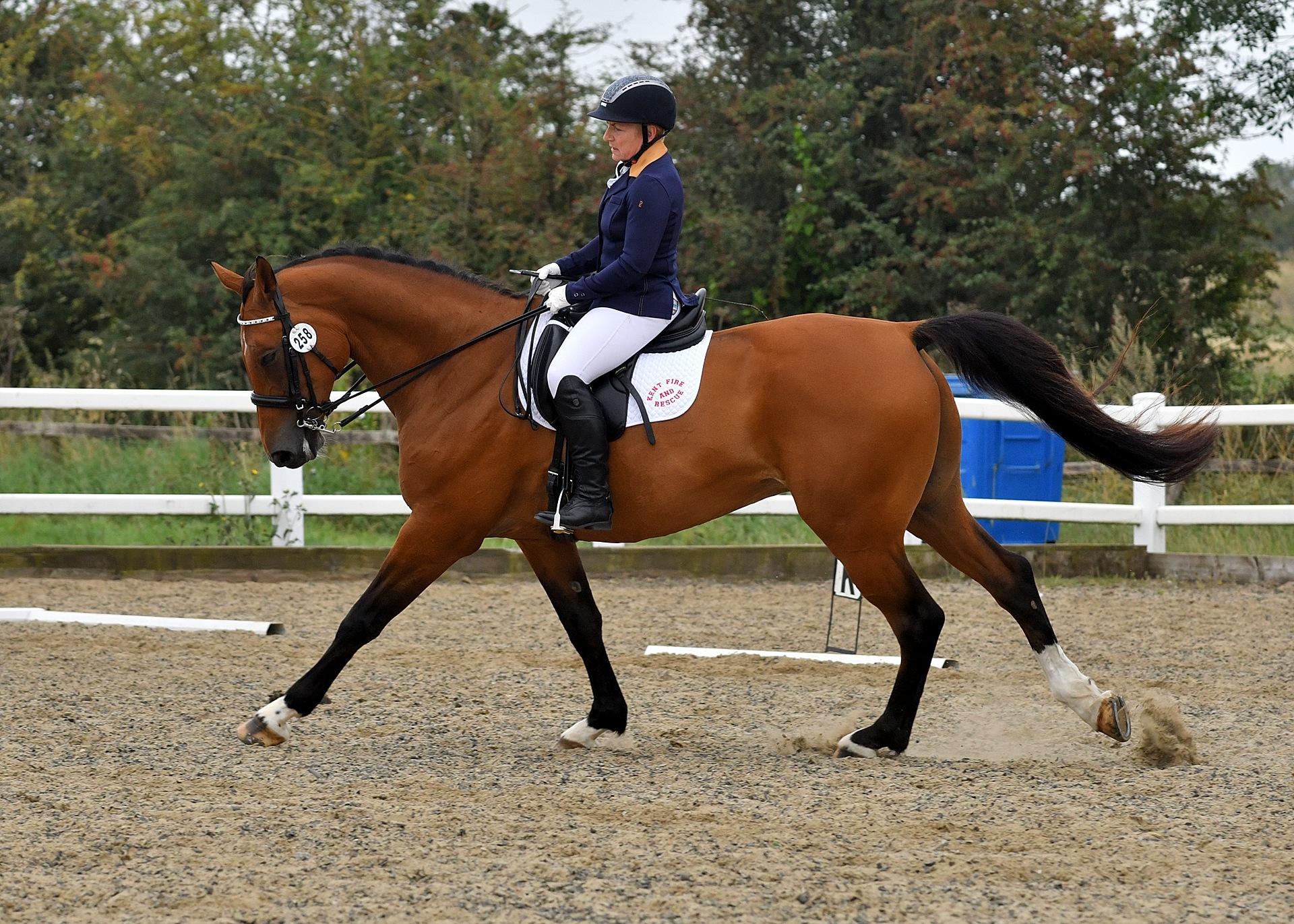 Forces Equine British Dressage Associated Championships