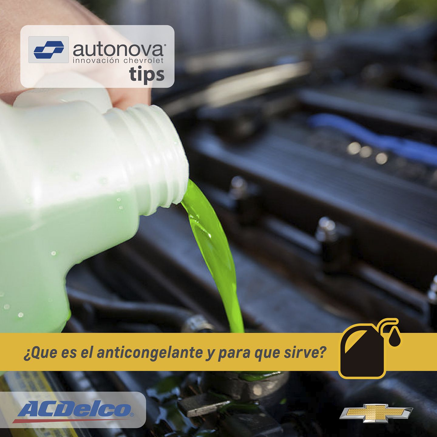 Seminuevos - El anticongelante es un componente vital que se debe ...