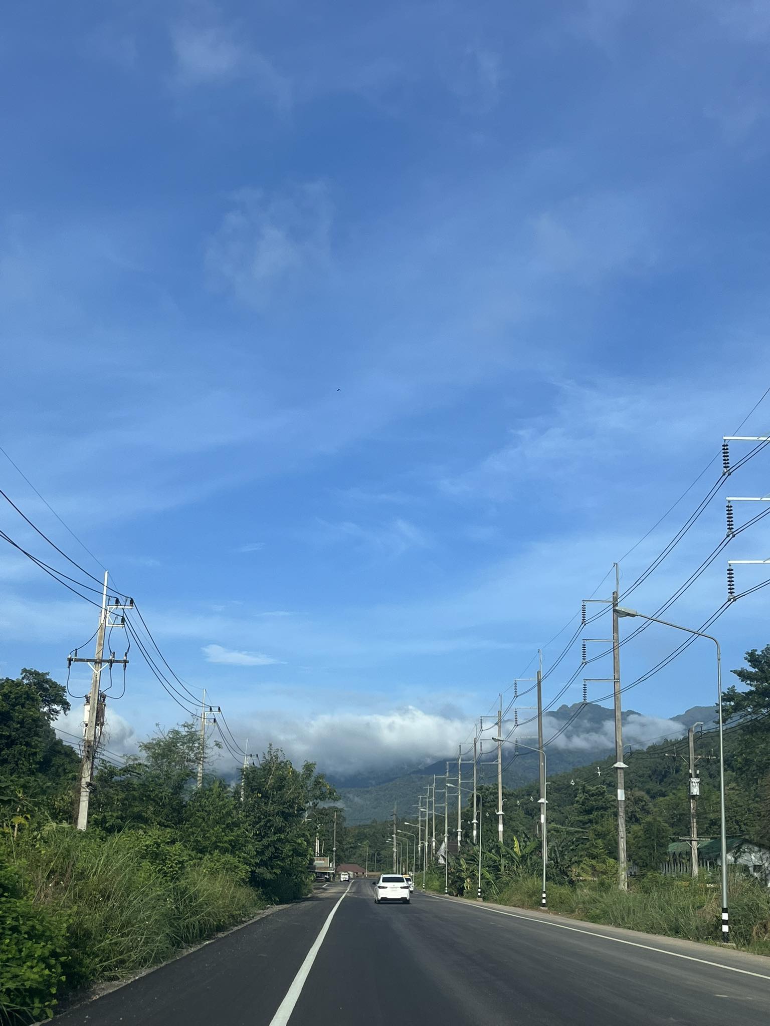 แมงบ้ง | Mae Hong Son