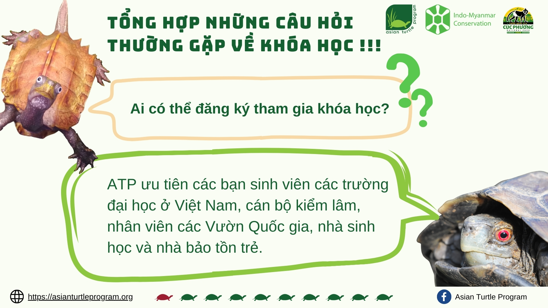 🎉 Common Questions Answered: 2024... - Asian Turtle Program | Facebook