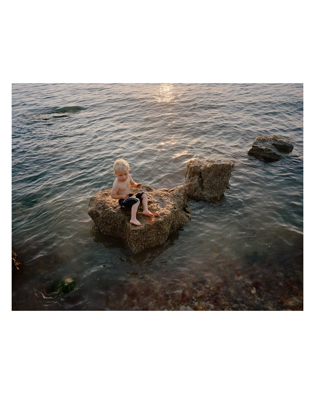 Tom Roe Photography