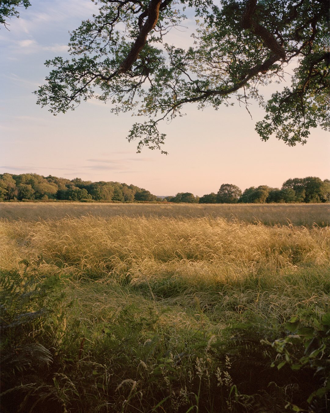 Tom Roe Photography