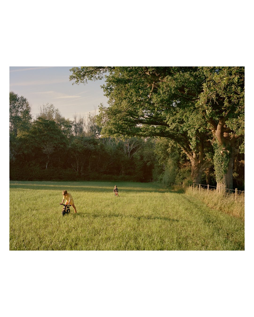 Tom Roe Photography