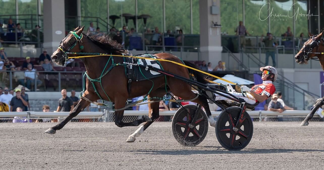 Twaddle - Yesterday was one of the most unforgettable moments in our ...