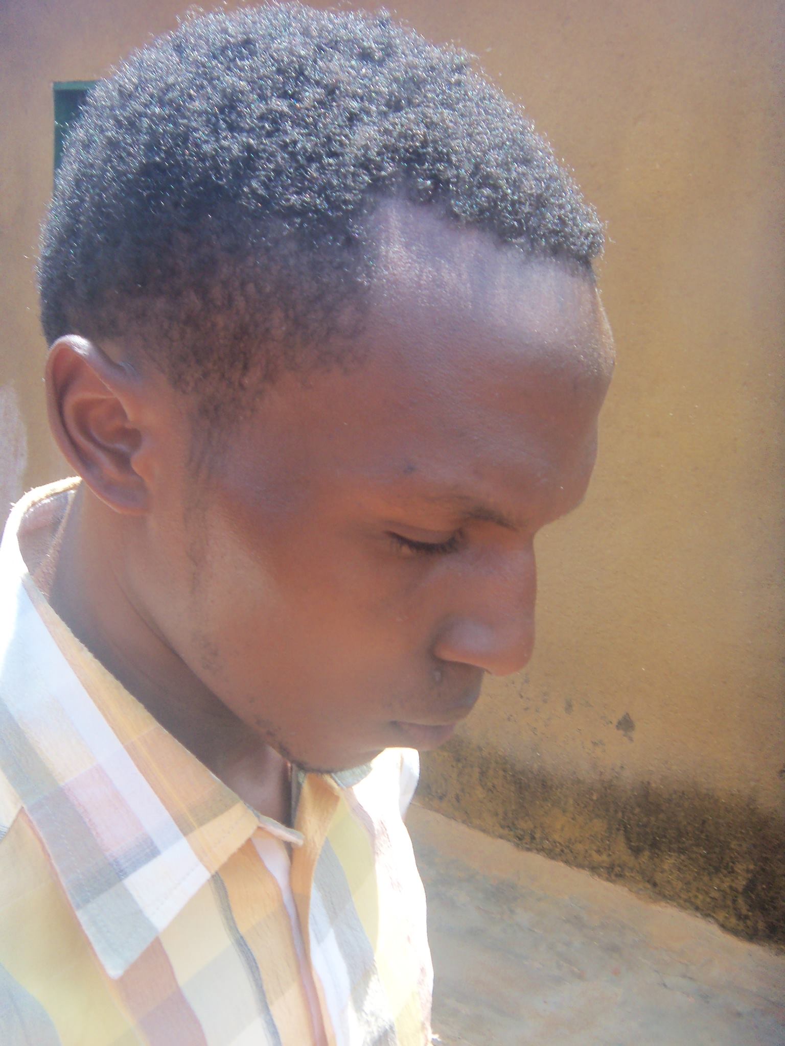 Port-Wine aka Shibli