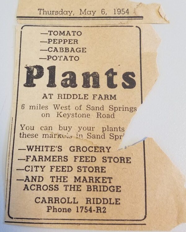 How cool is this newspaper ad from... - Riddle Plant Farm