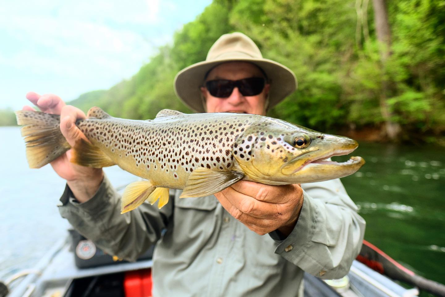 The brown trout fishing has been... - Rising River Guides | Facebook