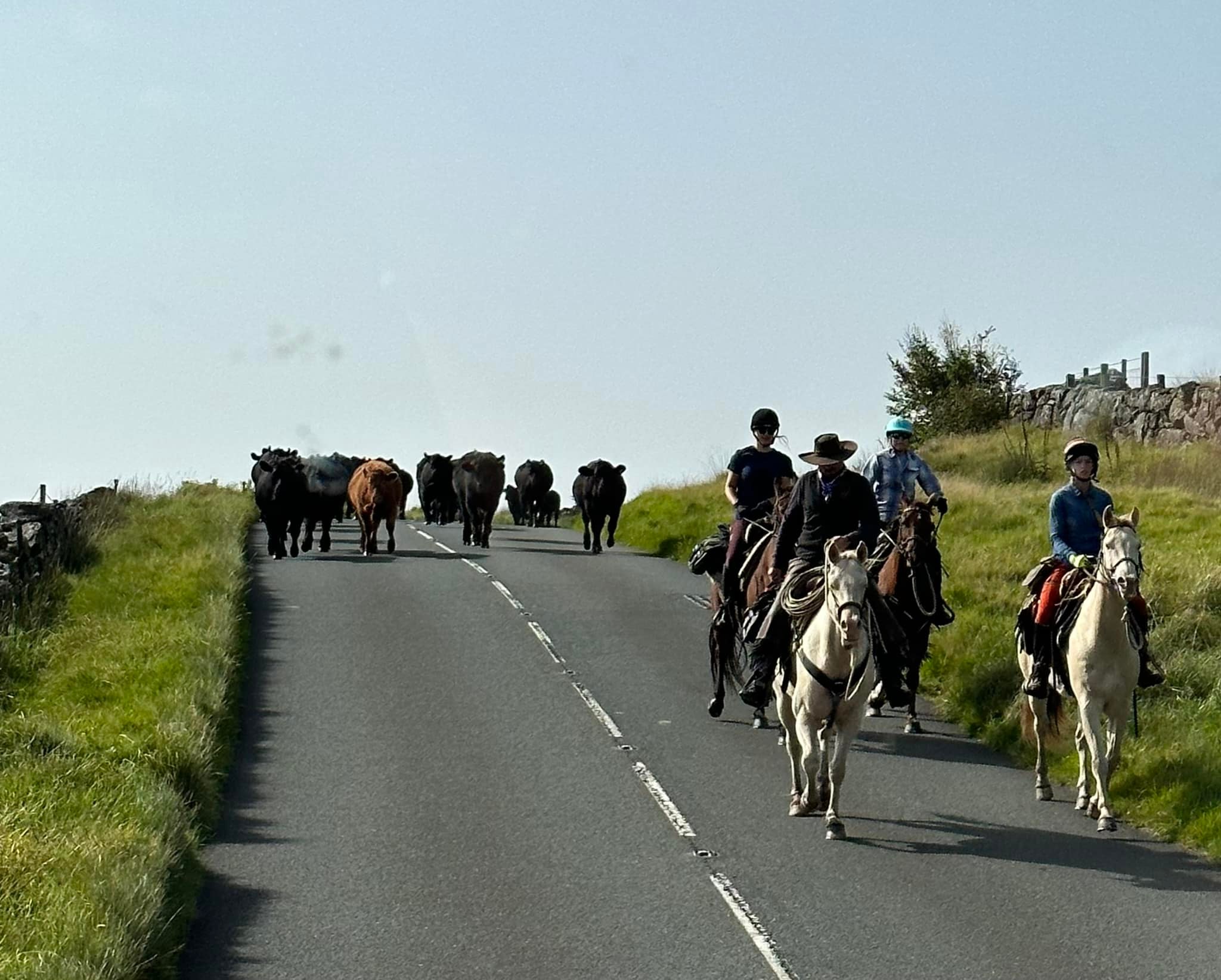 Meldon Farm has been busy leading... - Dartmoor's Daughter | Facebook