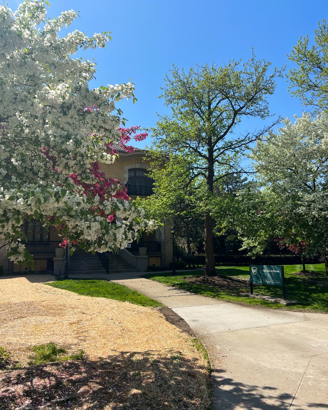 “Phil saw no shadow, and spring... - Wayne State University | Facebook