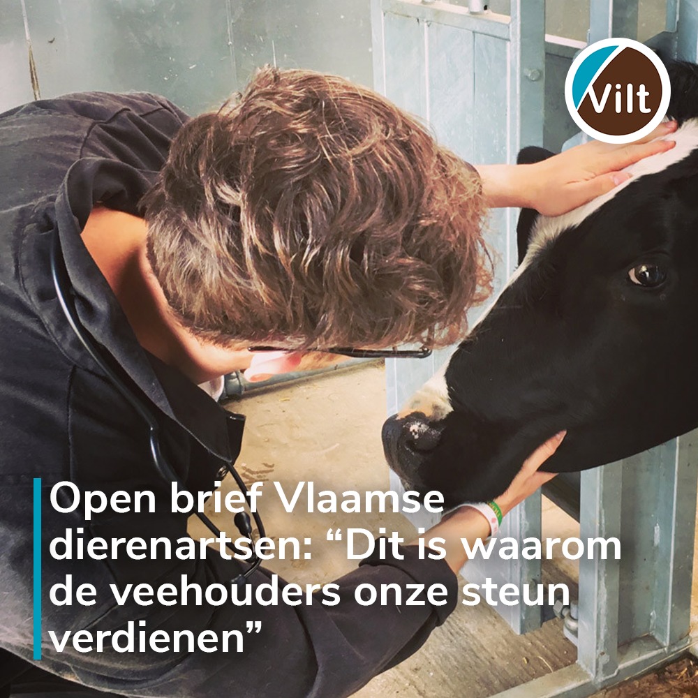 VILT - 🗣De vereniging van Vlaamse dierenartsen (VeDa) laat in een open ...