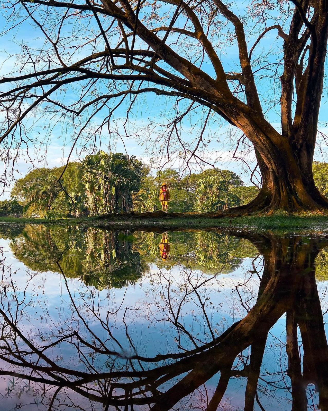 Let's talk about framing! 📸👇️... - iPhone Photography School | Facebook