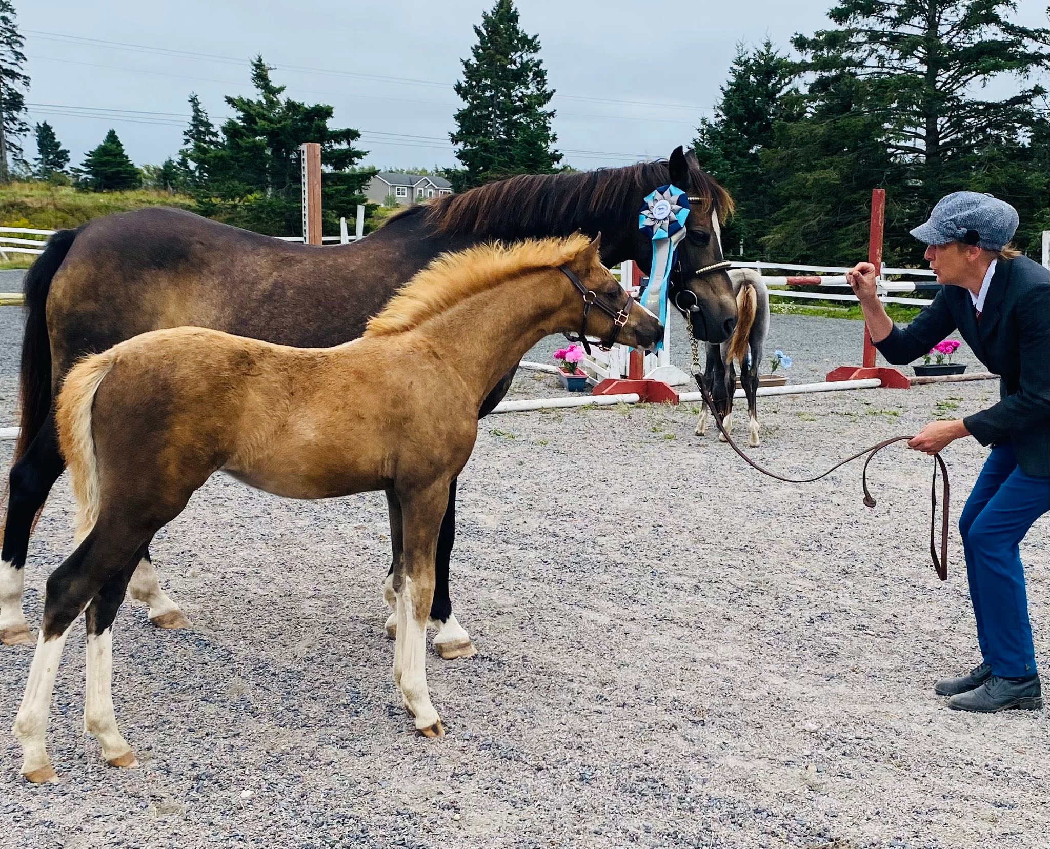Windy River Stables added a new photo. - Windy River Stables