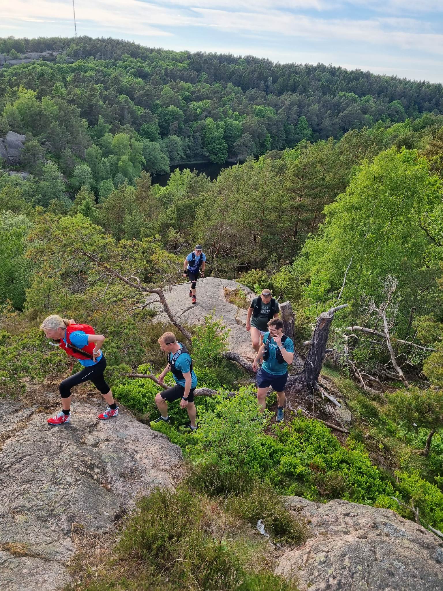The Alpaca Race | Gothenburg