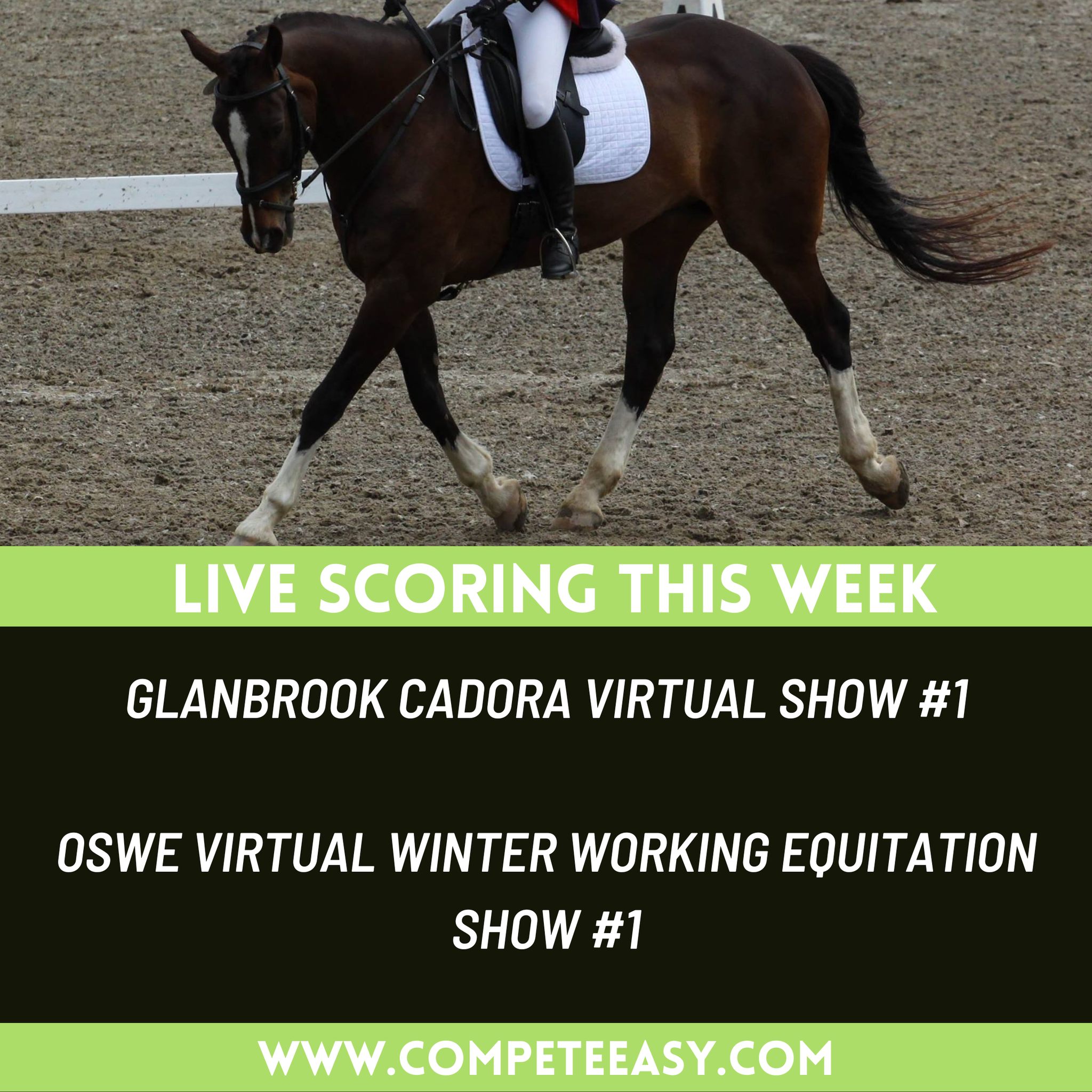 We have a couple of Virtual Shows... - Compete Easy Inc