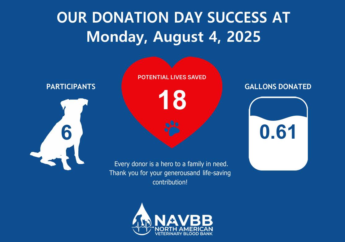 The Dog Stop - Our August Blood Drive was a tail-wagging... | Facebook