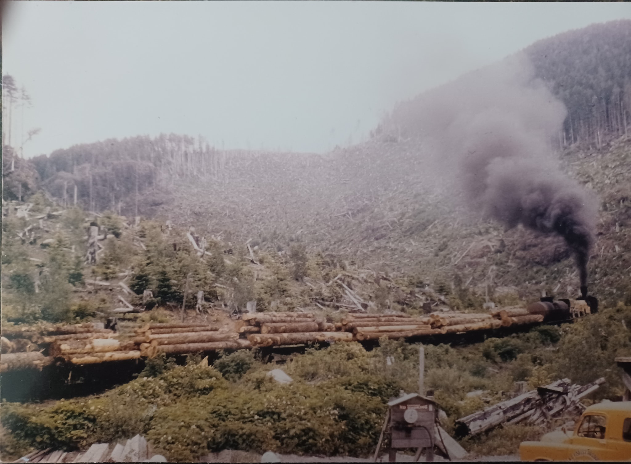 Old Coast Logging Pictures | Here is the last train load of logs ...
